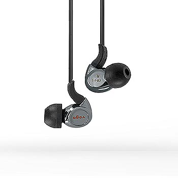 入耳式監聽耳機, CD-5.5