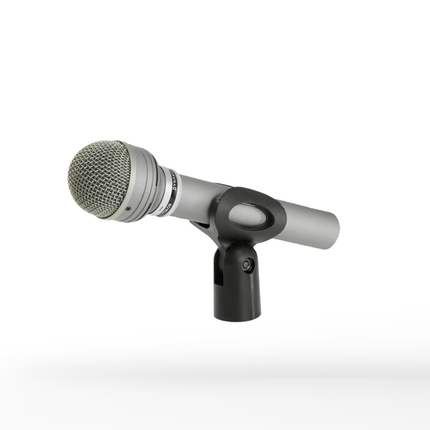 bass drum microphone detail
