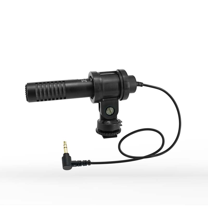 camcorder microphone